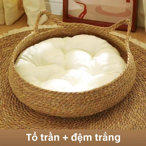 Ổ nệm
