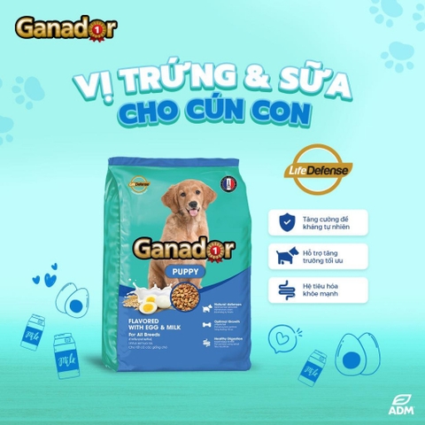 Thức ăn cho chó con vị trứng và sữa - Ganador