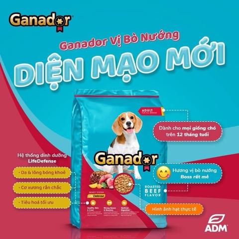 Thức ăn cho chó lớn vị bò nướng - Ganador