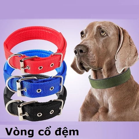 Vòng cổ