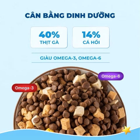 Hạt Mr.Vet T2 Hair Skin 10kg