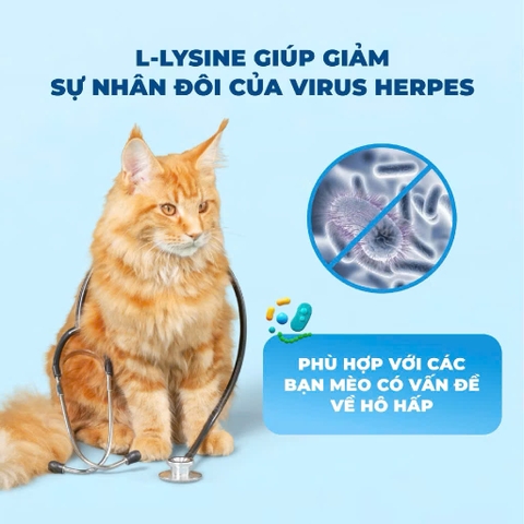 Hạt Mr.Vet T2 Hair Skin 10kg