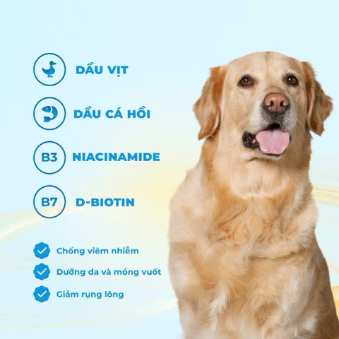 Hạt Mr.Vet Chó D1-1,4kg