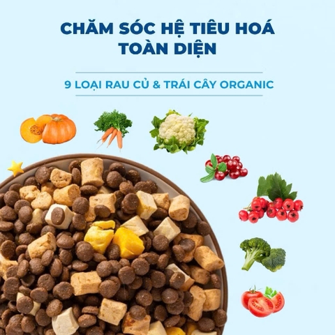 Hạt Mr.Vet Chó D1-1,4kg