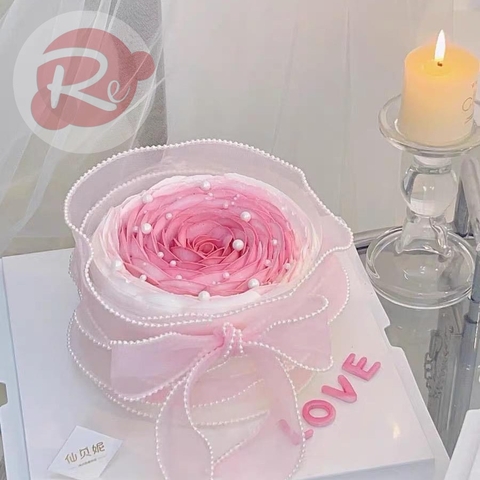 Ruybang voan ngọc trai - Hồng (6cm - 2m)