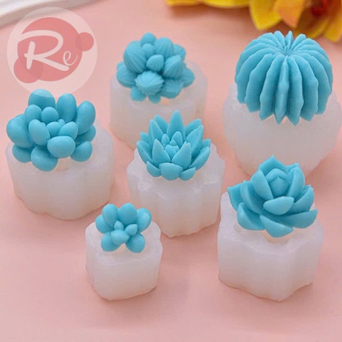 Combo 6 khuôn sen đá