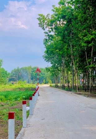 XD CÔNG TRÌNH ĐƯỜNG BỘ