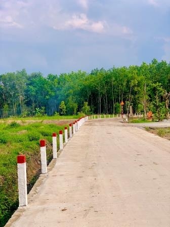 XD CÔNG TRÌNH ĐƯỜNG BỘ