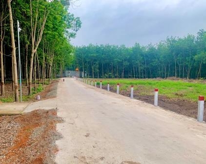 XD CÔNG TRÌNH ĐƯỜNG BỘ