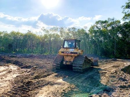 SAN LẤP MẶT BẰNG