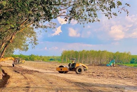 SAN LẤP MẶT BẰNG