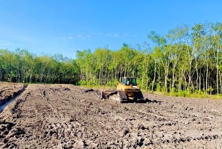 SAN LẤP MẶT BẰNG