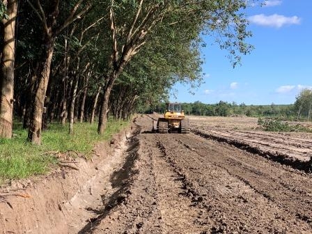 SAN LẤP MẶT BẰNG