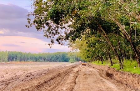 SAN LẤP MẶT BẰNG