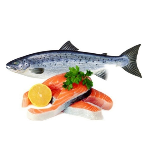 Cá Hồi Nguyên Con