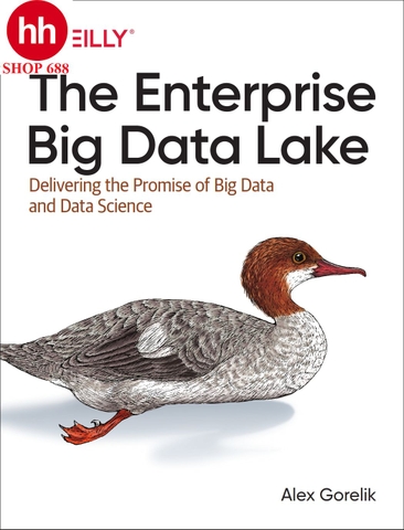 The Enterprise Big Data Lake: Delivering the Promise of Big Data and Data Science