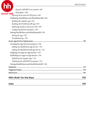 ASP.NET Core 6 and Angular: Full-stack web development with ASP.NET 6 and Angular 13, 5th Edition