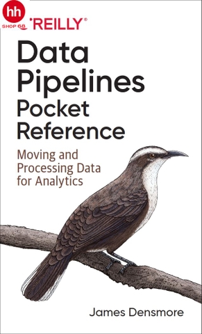 Data Pipelines Pocket Reference: Moving and Processing Data for Analytics