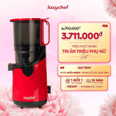 Máy ép chậm Bigsize 3S Lazychef
