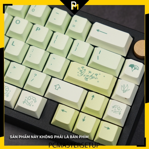 Keycap Ginkgo chất liệu nhựa pbt profile cherry công nghệ in dyesub không mờ 