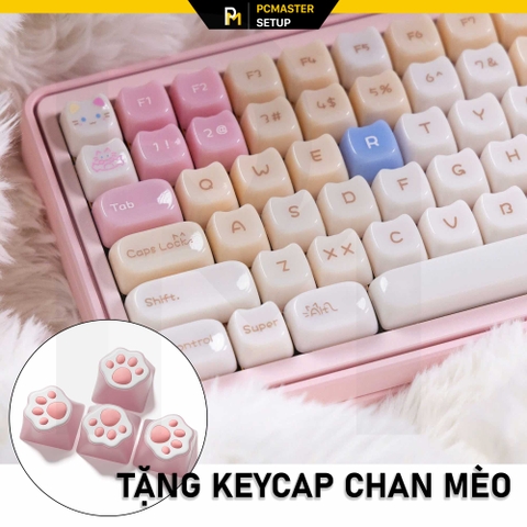 Keycap MAO dễ thương Jelly Cat - Ragdoll (Profile MAO/PC/ UV3D )