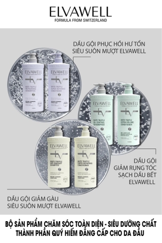 Bộ gội xả giảm gàu giảm rụng tóc và phục hồi hư tổn ELVAWELL