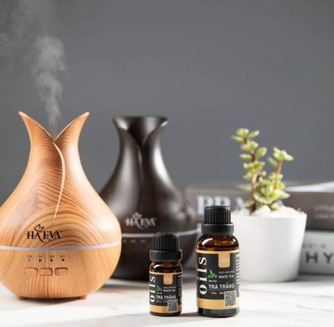 Mở cửa hàng máy xông tinh dầu trong các khu vui chơi giải trí  một ý tưởng độc đáo và thu hút khách hàng,