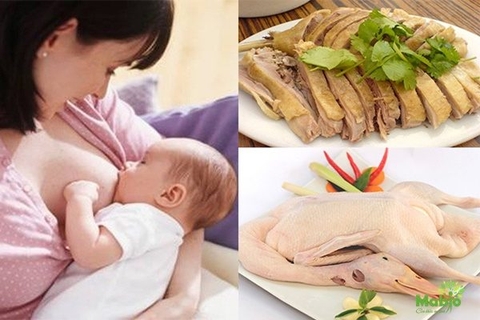 Sinh mổ 1 tháng đến 2 tháng có ăn thịt gà được không?