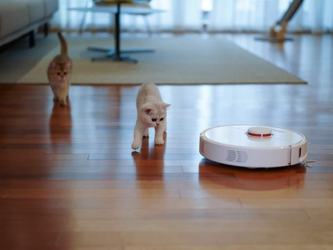 Cảnh giác khi mua Robot hút bụi giá 1 triệu. Những lưu ý cần biết