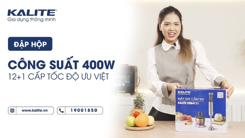 Review máy xay sinh tố, đa năng cầm tay KALITE KEB4111