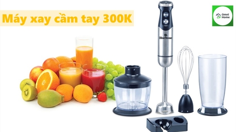 TOP 5 Máy Xay Cầm Tay 300K đáng mua nhất hiện nay (2022)