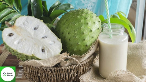 Tổng hợp các loại sinh tố mãng cầu thơm ngon cho ngày hè