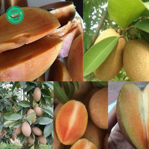 HỒNG XIÊM MIỀN TÂY – NGỌT LỊM TỪ TỰ NHIÊN, THƠM MỀM CHUẨN QUÊ NHÀ 🍈✨