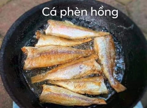 Cá Hồng Phèn Một Nắng
