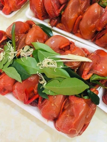 Chim Cút thịt loại to - Khay 10 con (700-900g/khay)