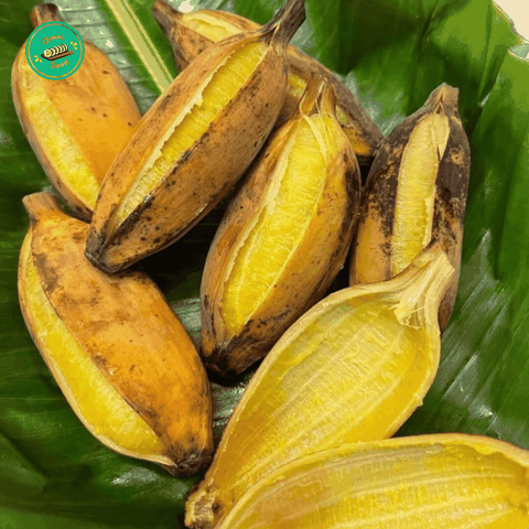 Chuối Sáp – Dẻo Bùi Tự Nhiên, Đậm Vị Quê Nhà