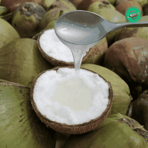 Dừa Sáp Trà Vinh – Đặc Sản Béo Dẻo, Hiếm & Ngon Khó Cưỡng