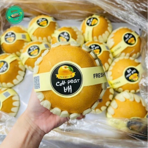 🍐 LÊ HÀN QUỐC PREMIUM – GIÒN TAN, NGỌT THANH, TƯƠI NGON CHUẨN HÀNG TUYỂN LOẠI 1