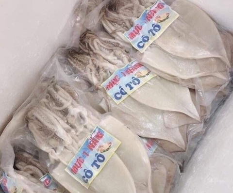 MỰC 1 NẮNG COTO