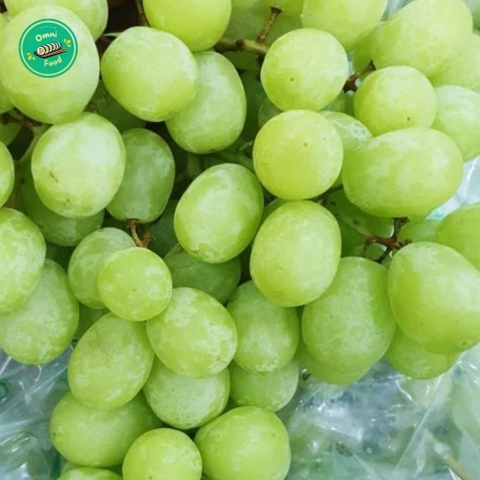 Nho Xanh Úc Autumn Crisp – Giòn Rụm, Ngọt Thanh, Siêu Tươi Ngon!