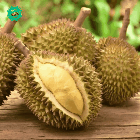 Sầu Riêng Thái – Cơm Vàng Dày, Béo Thơm Chuẩn Vị