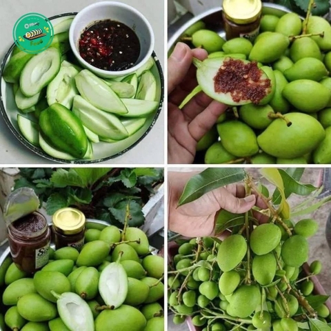 🥭 XOÀI BAO TỬ – GIÒN RỘP, CHUA THANH “GÂY NGHIỆN”, MÓN ĂN VẶT KHÓ CƯỠNG