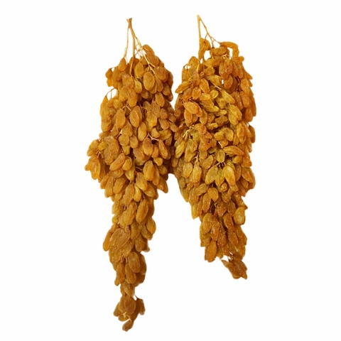Nho Khô Nguyên Cành Úc