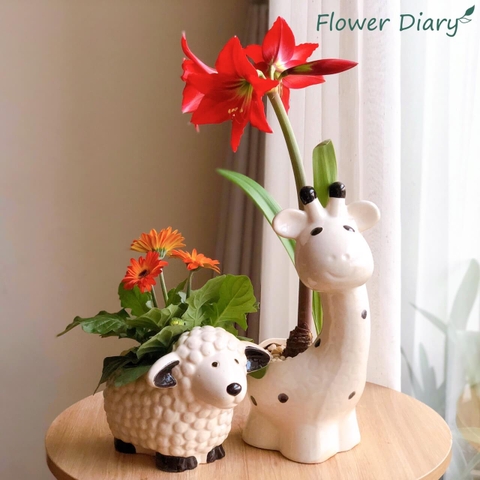 Chậu trồng cây & Đất