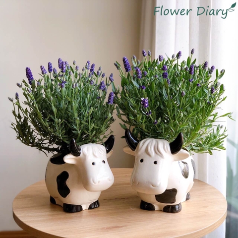 Chậu trồng cây hình bò sữa