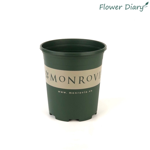 Chậu trồng cây Monrovia 1gl M:16cm H:17.5cm