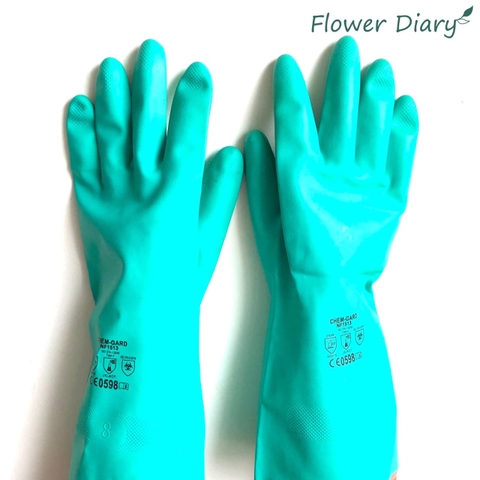 Găng tay cao su xanh