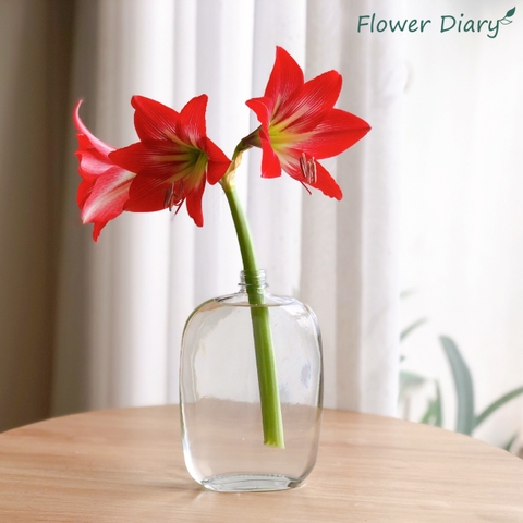 Bình thuỷ tinh dẹt M:2cm H:18cm (500ml)