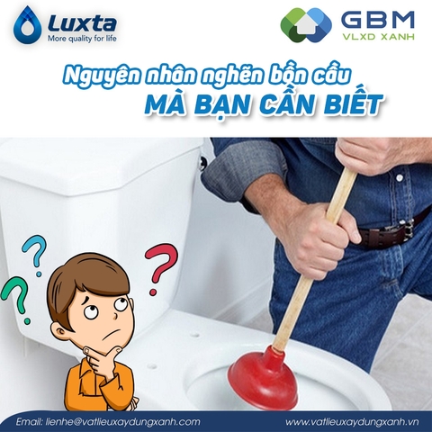 Nguyên nhân tắc nghẽn bồn cầu mà bạn cần biết