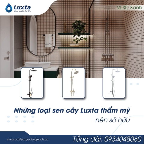 Những loại sen cây Luxta thẩm mỹ nên sở hữu